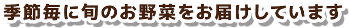 季節毎に旬のお野菜をお届けしています